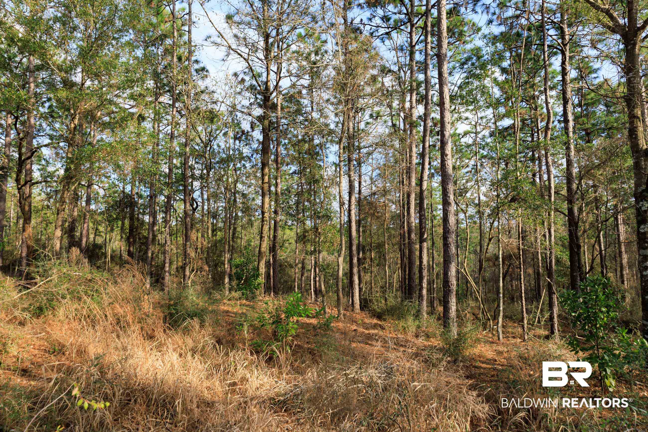 0 Bromley Road Daphne, AL 36527 - Photo 9 of 16