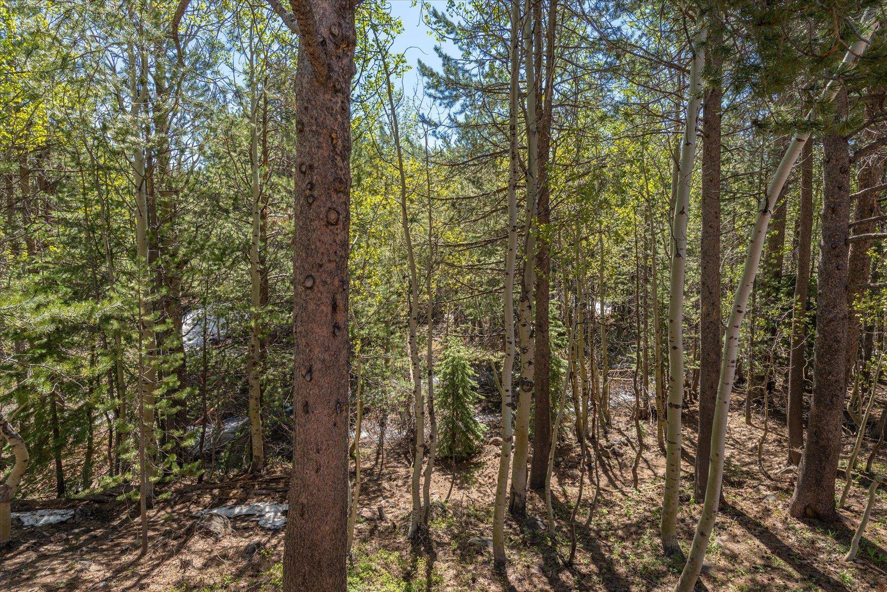 14475 Alder Creek Road Truckee, CA 96161 - Photo 21 of 21 a view of forest
