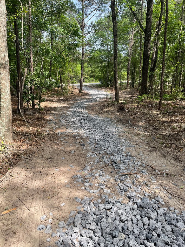 0 Columbus Road Rembert, SC 29128 - Photo 4 of 5 Photo 4