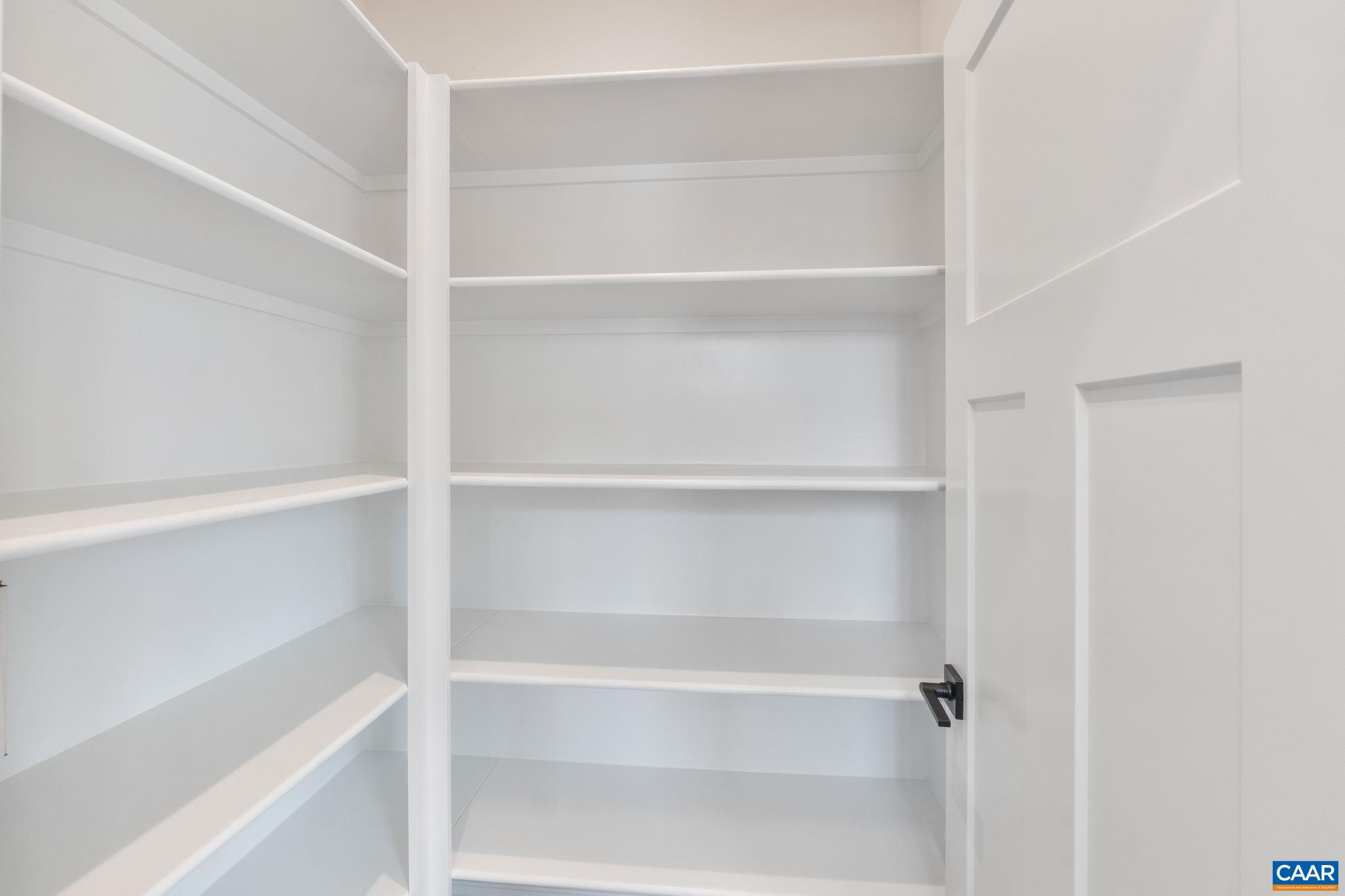 797 Park Ridge Drive Crozet, VA 22932 - Photo 21 of 43 a view of walk in closet with empty racks