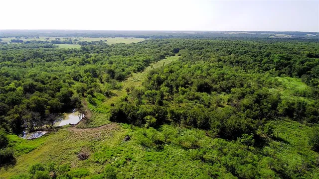 a view of a green field with lots of bushes