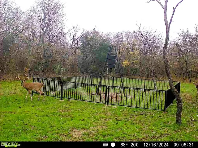 a view of a bench in a park