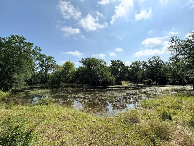 a view of a yard with a tree