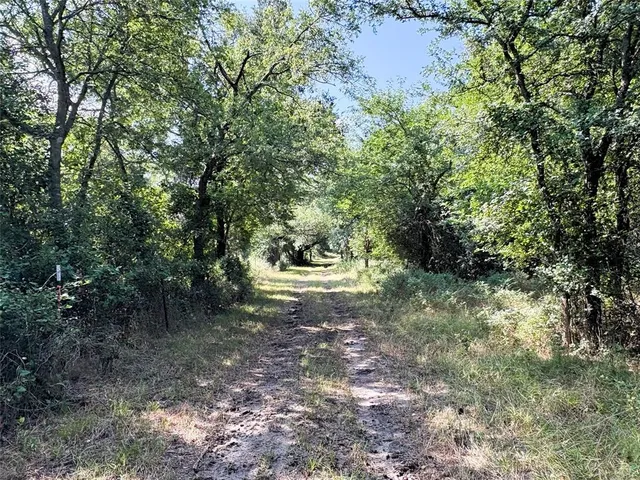 a view of a back yard
