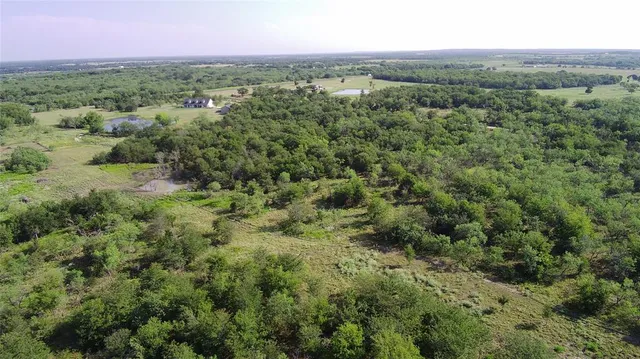 a view of a city with lush green forest