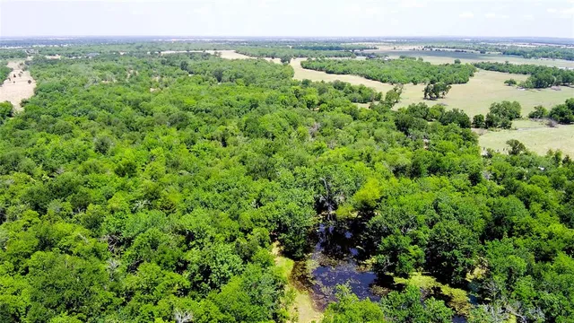 a view of a lush green forest with trees and some houses