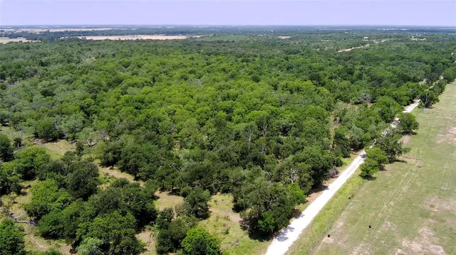 a view of a lush green forest with trees and houses