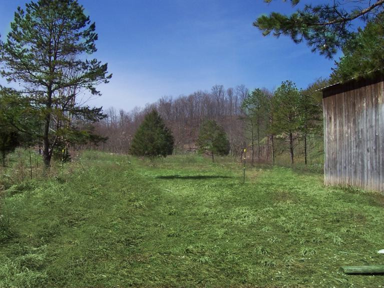 1 Cortland Fork Ricetown, KY 41364 - Photo 5 of 12 Photo 5