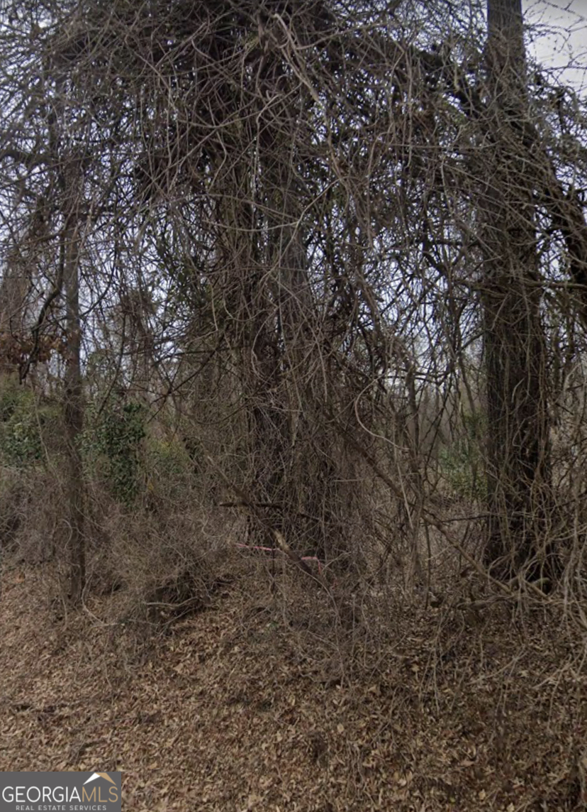 450 Old Princeton Road Athens, GA 30606 - Photo 1 of 2