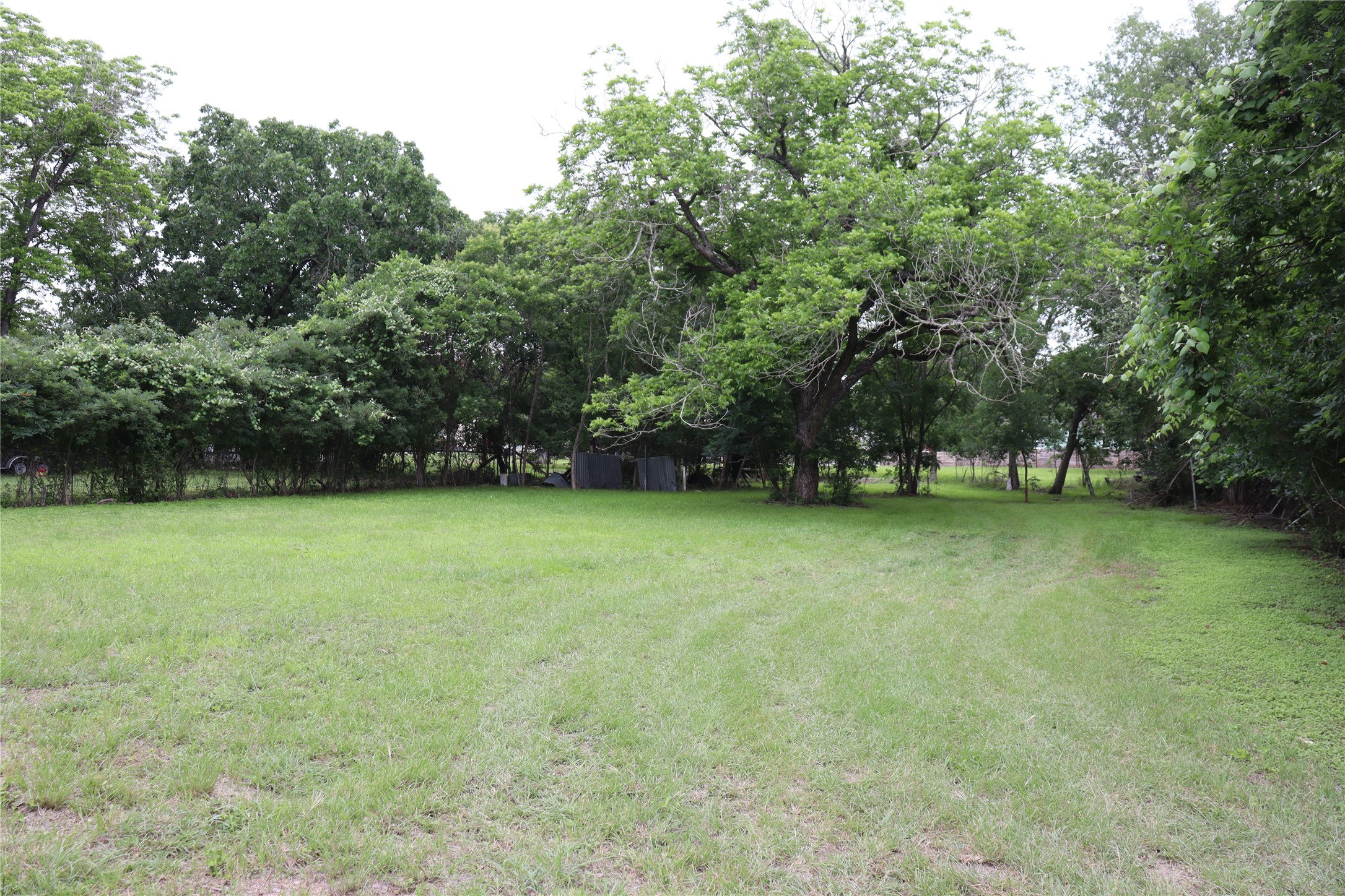 1006 Johnson Street Lockhart, TX 78644 - Photo 3 of 10 Expansive green lawn with a dense perimeter of mature trees and established shrubbery