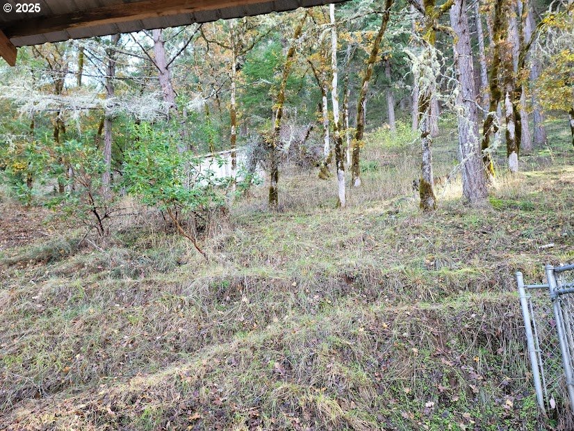 781 Plin Street Myrtle Creek, OR 97457 - Photo 10 of 10 a view of a yard with a tree
