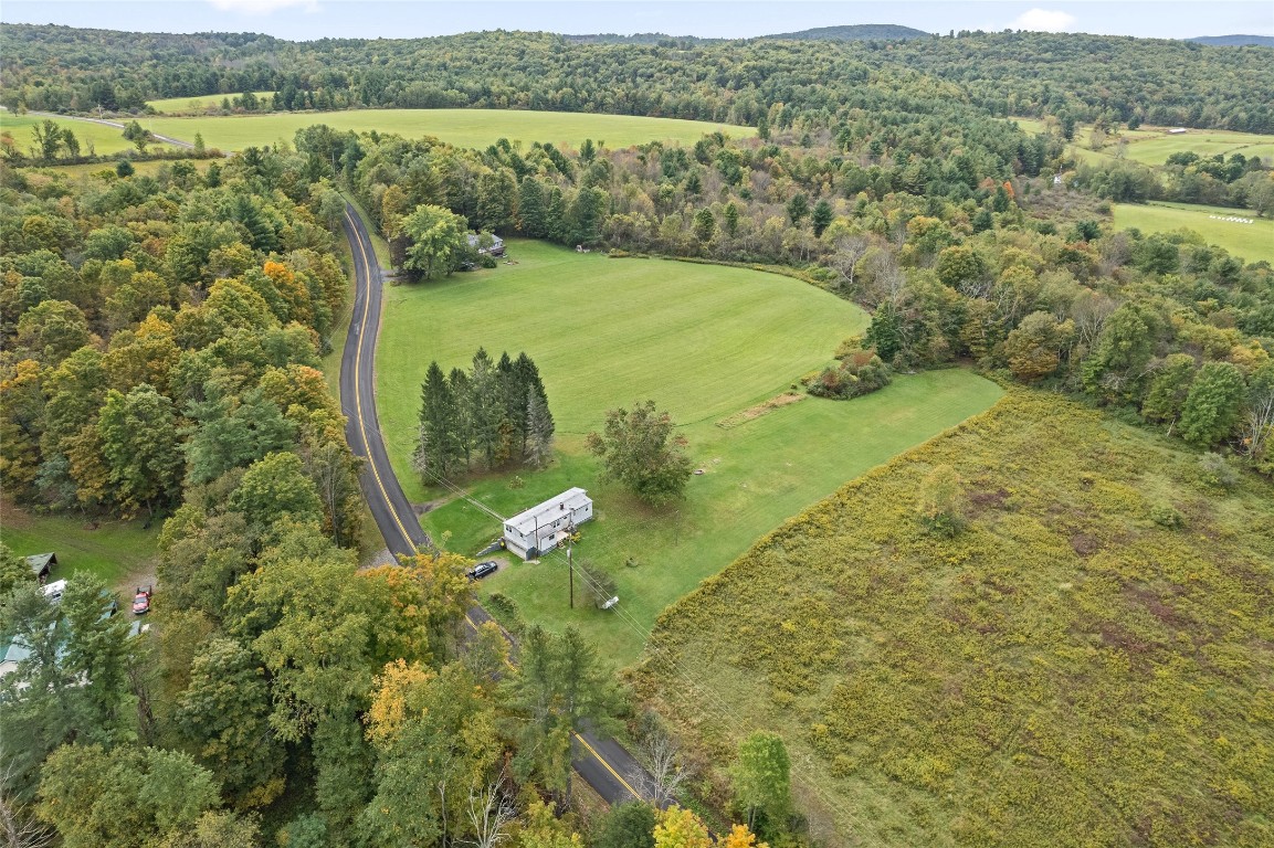 1215 Ballyhack Road Chenango Forks, NY 13746 - Photo 3 of 28