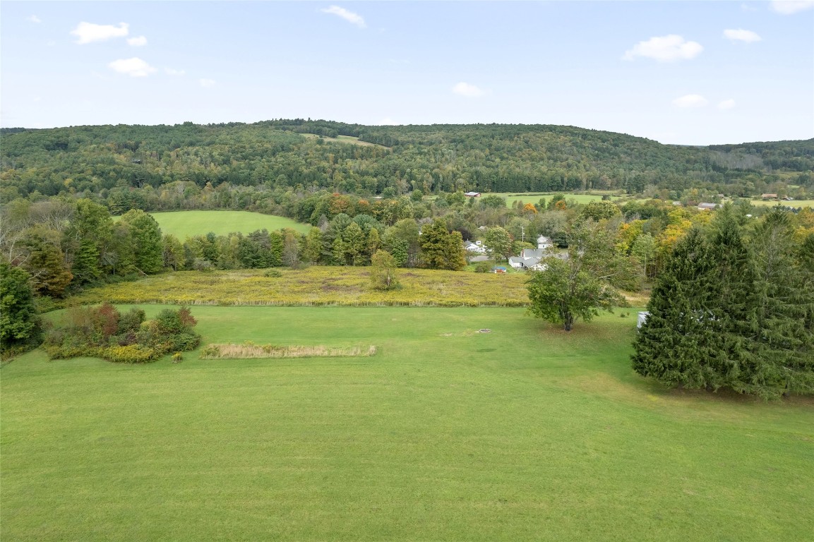 1215 Ballyhack Road Chenango Forks, NY 13746 - Photo 4 of 28