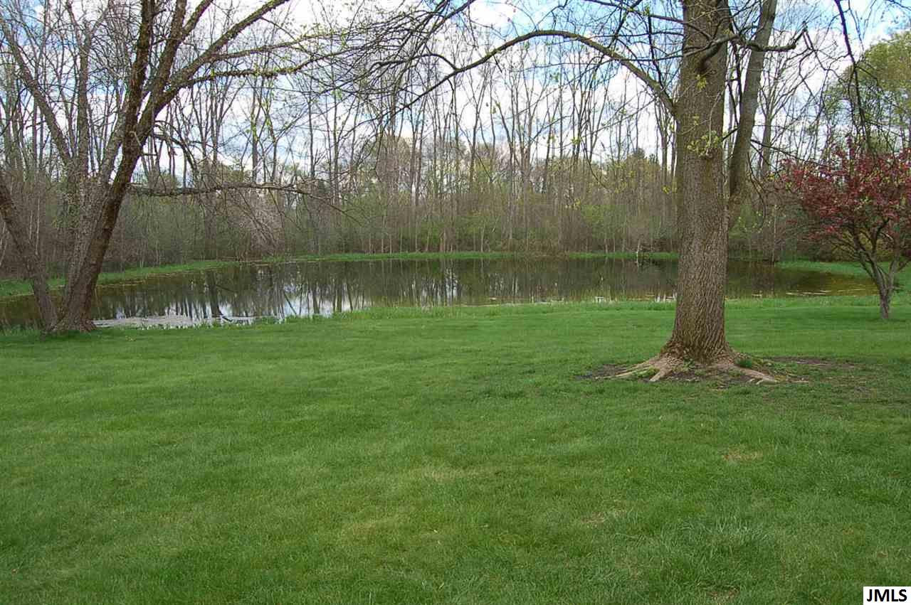 3401 Concerto Court Spring Arbor, MI 49283 - Photo 8 of 31 Photo 8