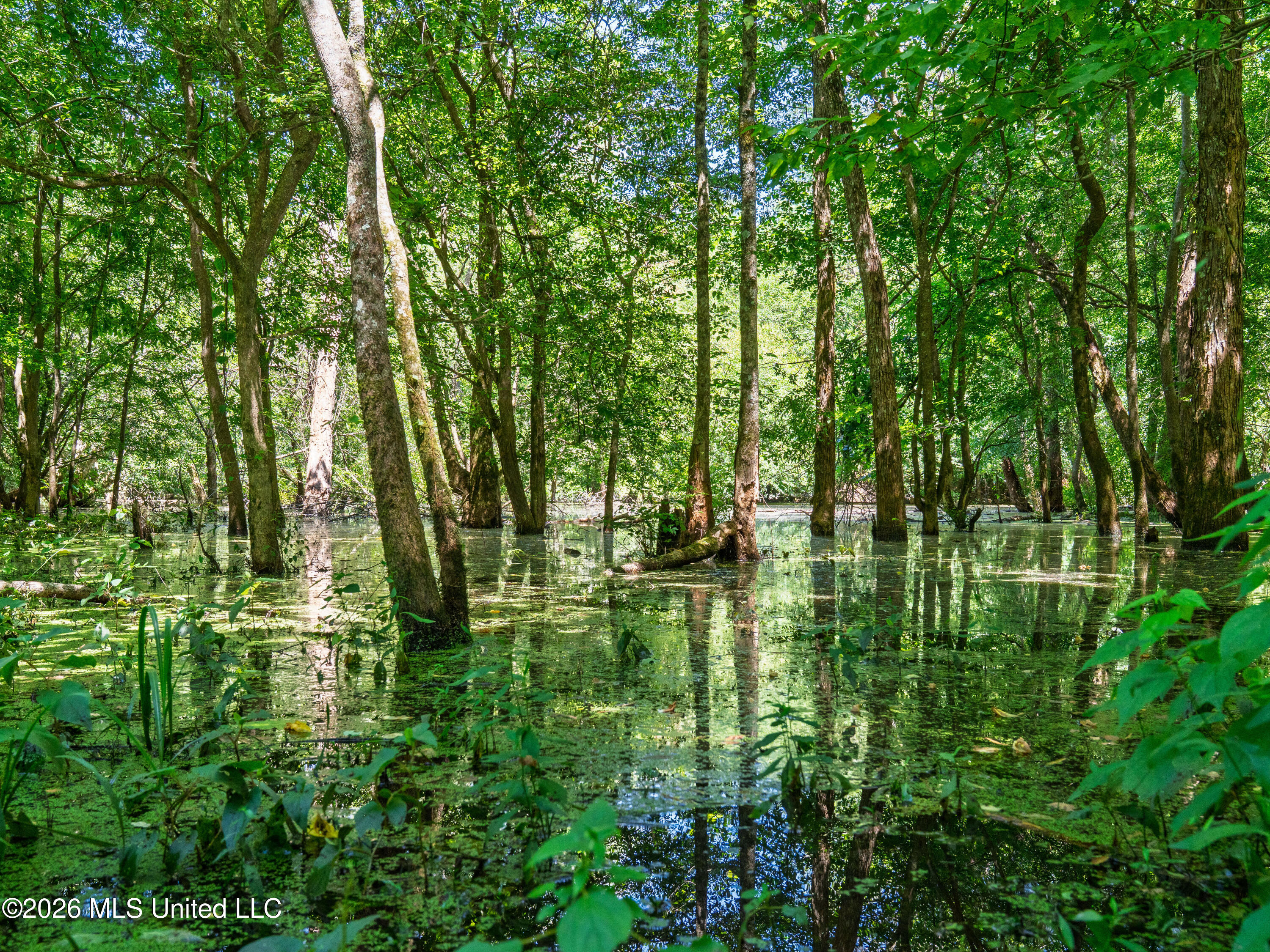 23 Co Road Bay Springs, MS 39422 - Photo 27 of 64 A7403771
