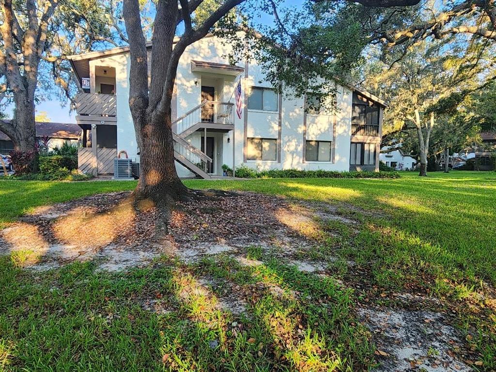 603 Baldwin Avenue, Unit B Safety Harbor, FL 34695 - Photo 23 of 32 a view of a big house with a big yard and large trees