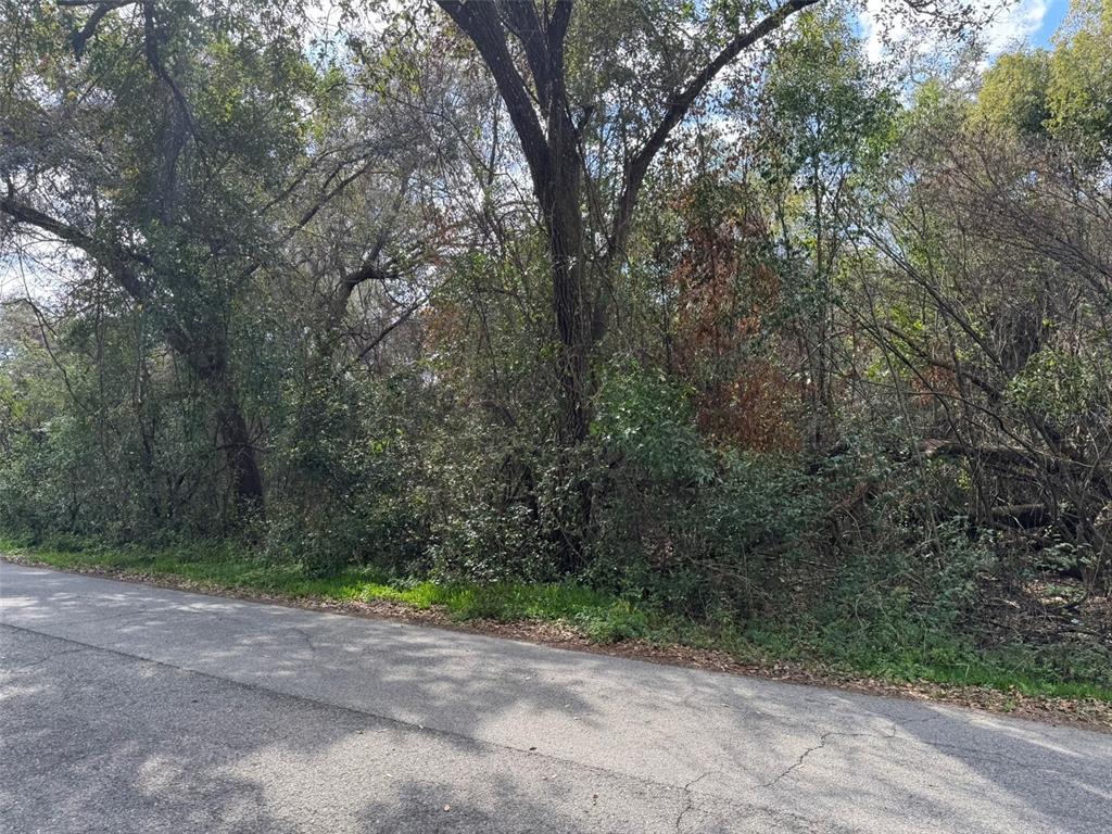 76 Idle A While Circle Dade City, FL 33523 - Photo 5 of 12