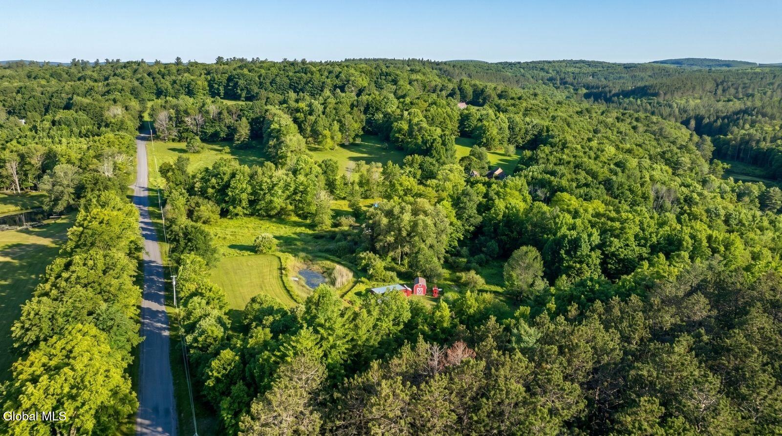 171 Rossman Hill Road Summit, NY 12175 - Photo 52 of 54 171-Rossman-Hill-Rd-Summit-Exterior (14)