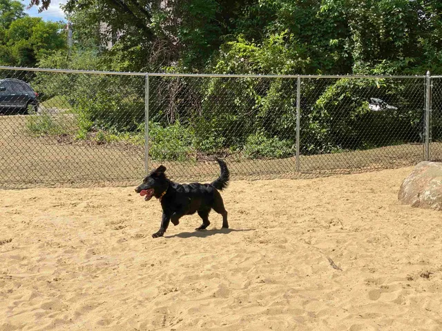 $1,850 | 131 Eastern Avenue, Unit 201, Manchester, NH 03104