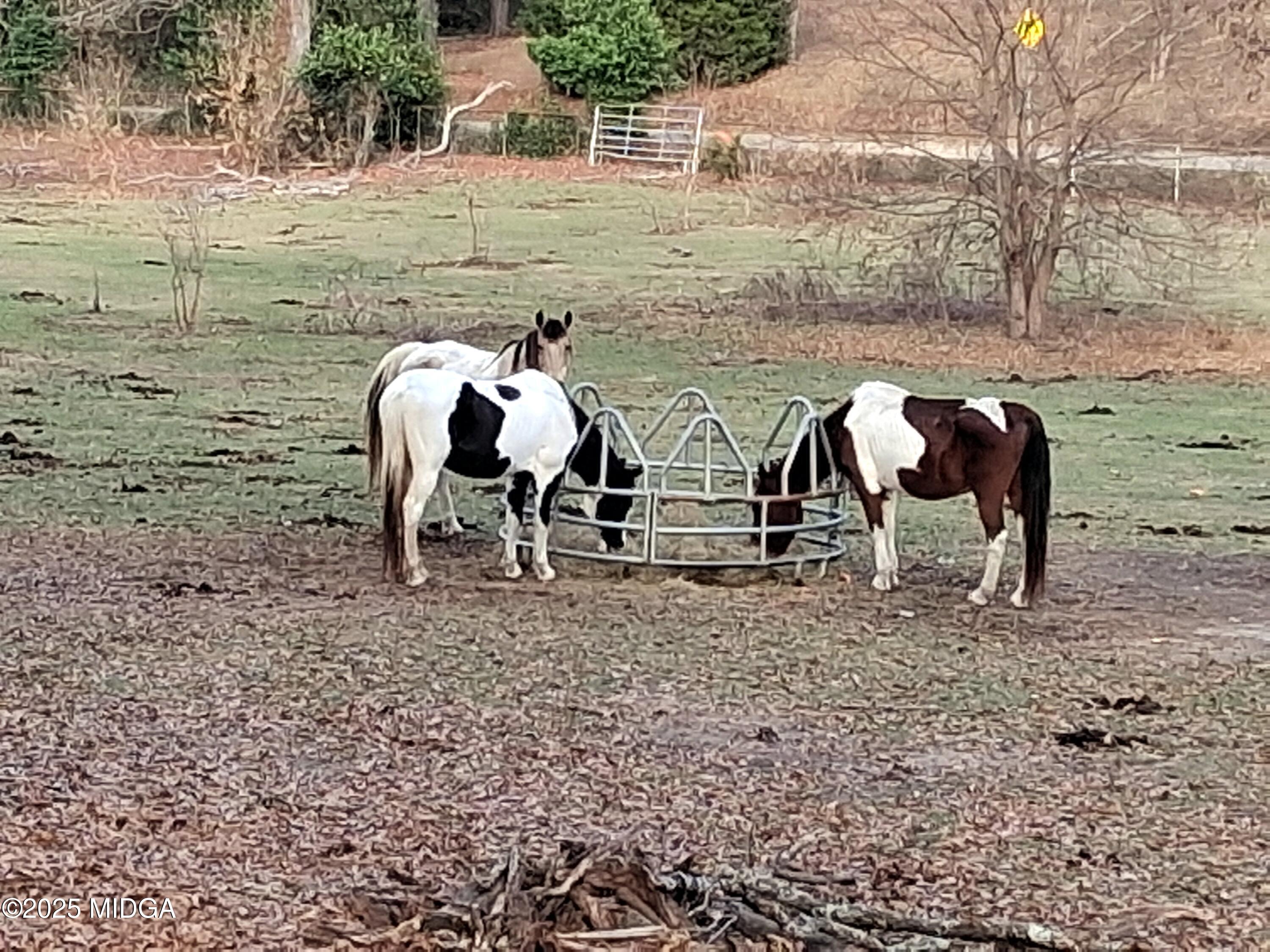 152 North Main Street Gordon, GA 31031 - Photo 7 of 37 a view of a outdoor space with table and chairs