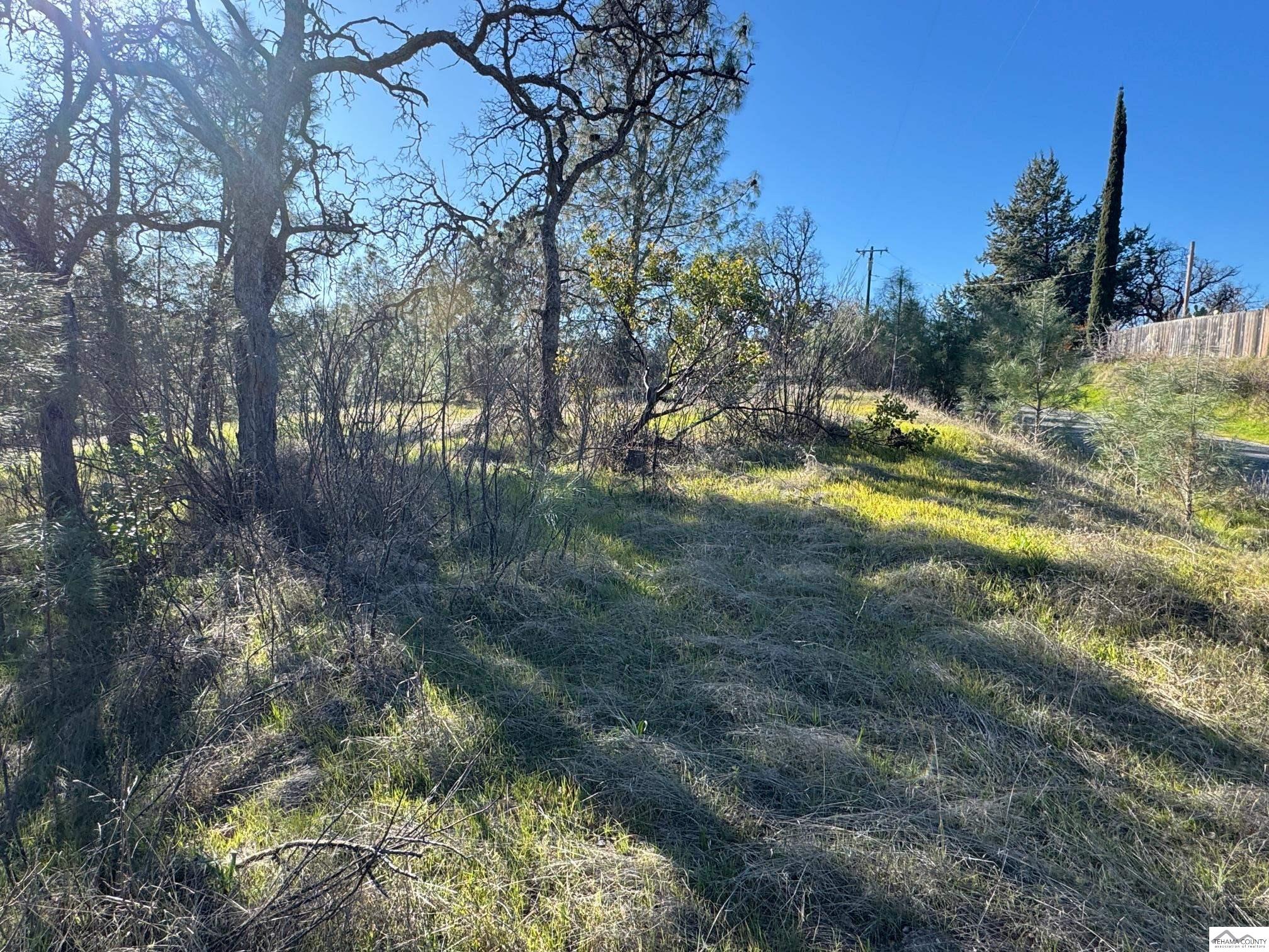 7285 Bluebird Road Corning, CA 96021 - Photo 2 of 19