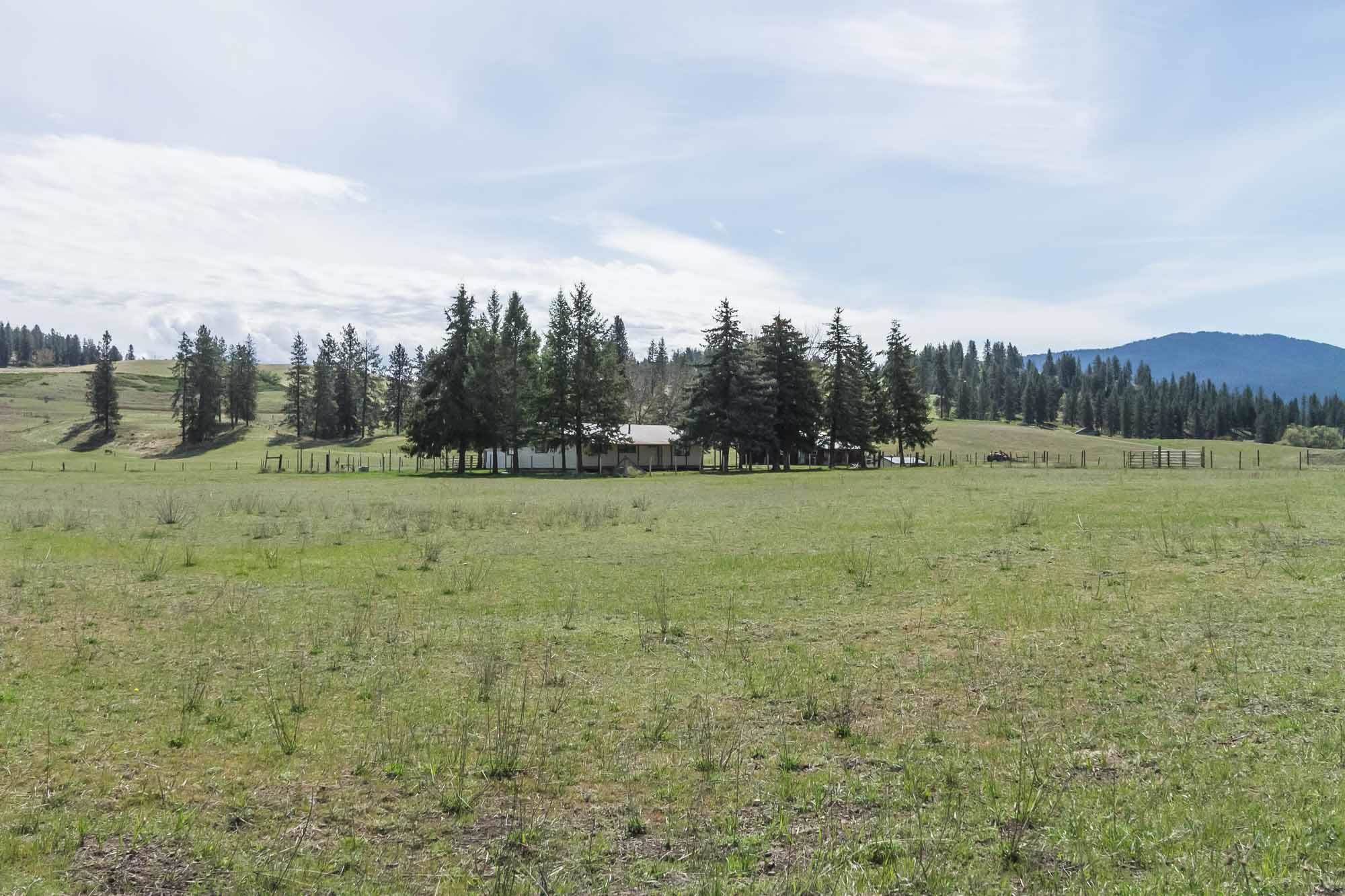 793 Kitt-Narcisse Road Colville, WA 99114 - Photo 44 of 49