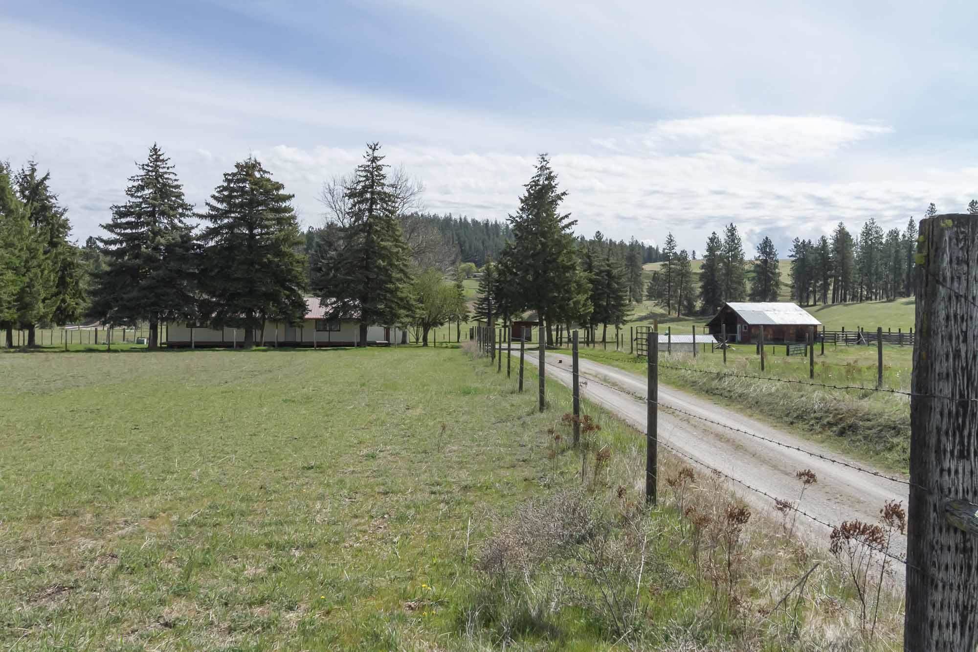 793 Kitt-Narcisse Road Colville, WA 99114 - Photo 45 of 49