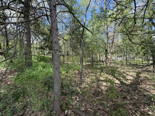 257 Birch Street Jackson, WI 53952 - Photo 26 of 29 IMG_2521