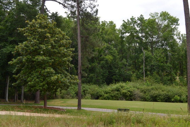 2700 Stonybrook Road Opelika, AL 36804 - Photo 3 of 8 Gallery Image 3