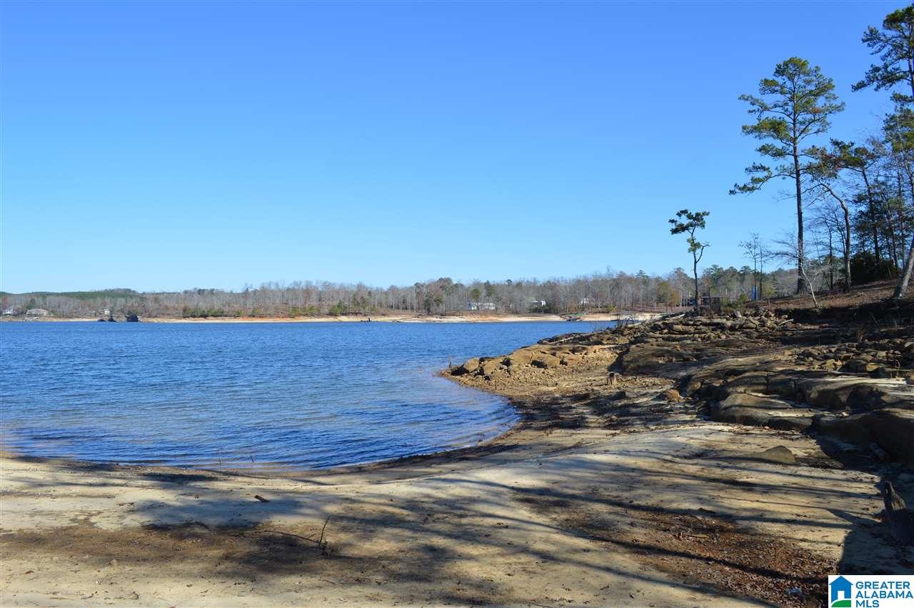 South Stoney Point Road South, Unit 138 Double Springs, AL 35553 - Photo 5 of 22