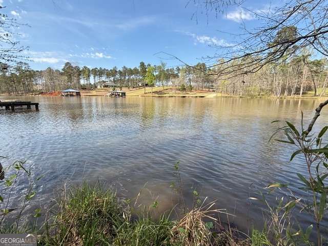 a view of lake view