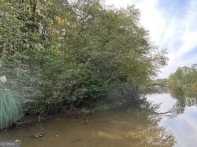 171 Bluegill Road Eatonton, GA 31024 - Photo 4 of 9 a view of a lake from a yard