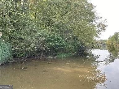 171 Bluegill Road Eatonton, GA 31024 - Photo 7 of 9 a view of river covered by trees