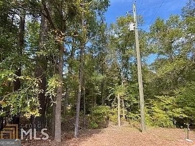 171 Bluegill Road Eatonton, GA 31024 - Photo 8 of 9 a view of a forest with a tree