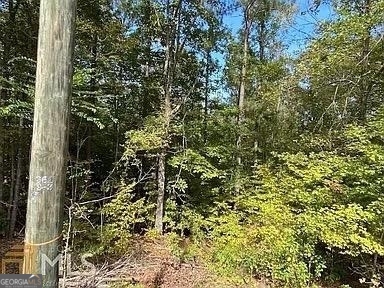 171 Bluegill Road Eatonton, GA 31024 - Photo 9 of 9 a view of a forest