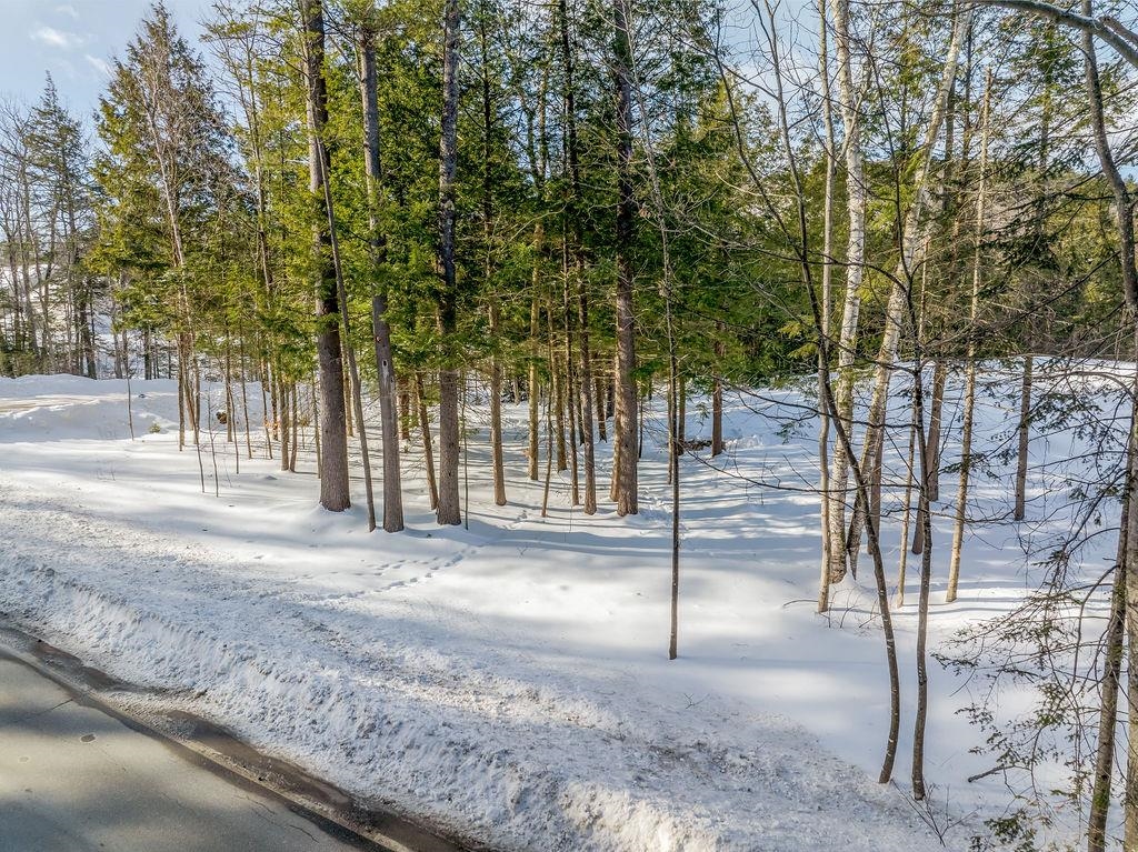 Edgemont Road Sunapee, NH 03782 - Photo 28 of 36