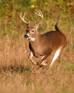 $275,000 | 12621 Sue Lane, Godley, TX 76044