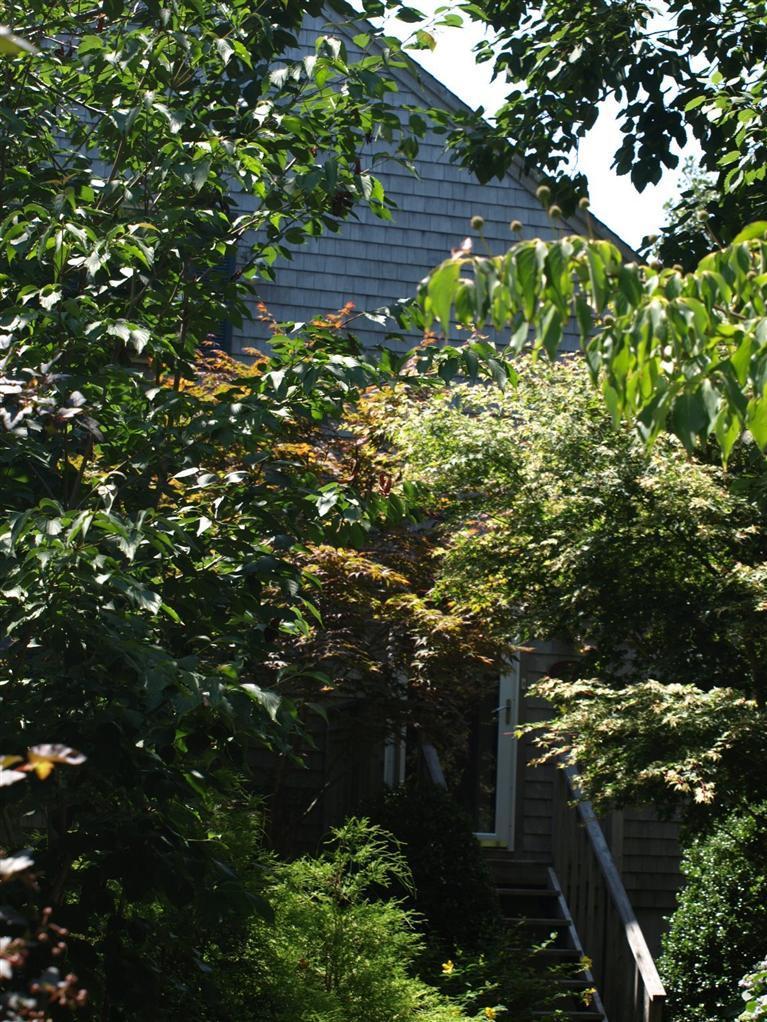 86 Shore Road, Unit 15 Truro, MA 02666 - Photo 13 of 23 a view of flowers in a garden