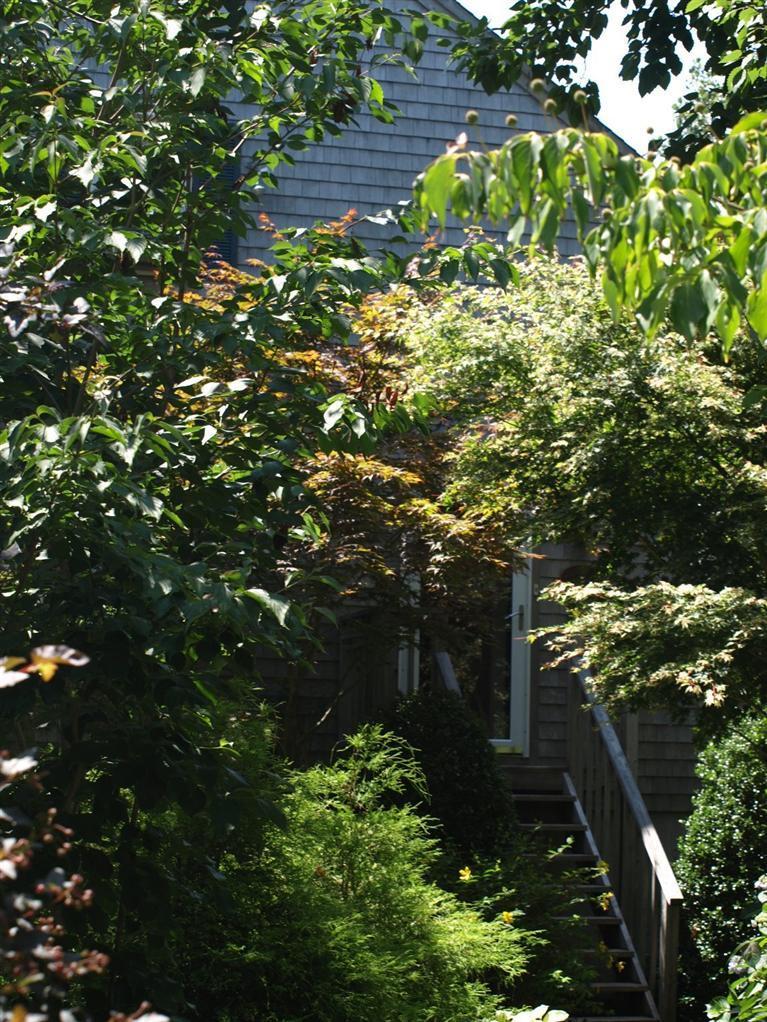 86 Shore Road, Unit 15 Truro, MA 02666 - Photo 2 of 23 a picture of tree