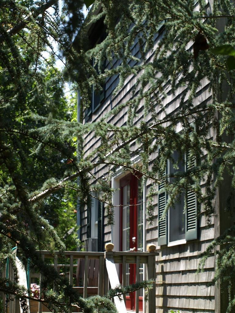 86 Shore Road, Unit 15 Truro, MA 02666 - Photo 3 of 23 front view of a house with a tree