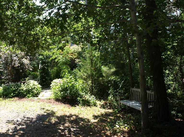 86 Shore Road, Unit 15 Truro, MA 02666 - Photo 6 of 23 a view of a plant with a tree
