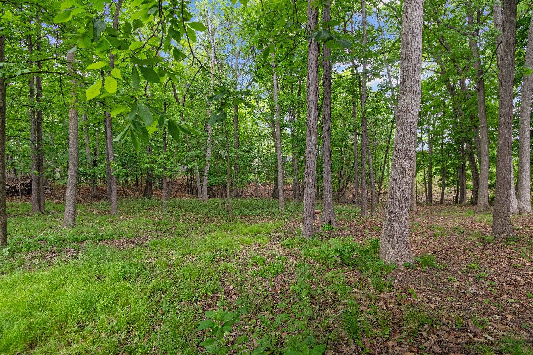 3616 East Lexington Drive Appleton, WI 54915 - Photo 58 of 74