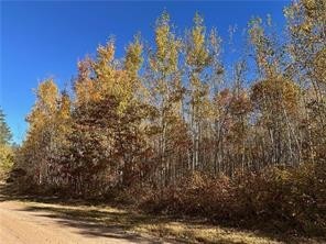 0 Dana Road Solon Springs, WI 54873 - Photo 13 of 14