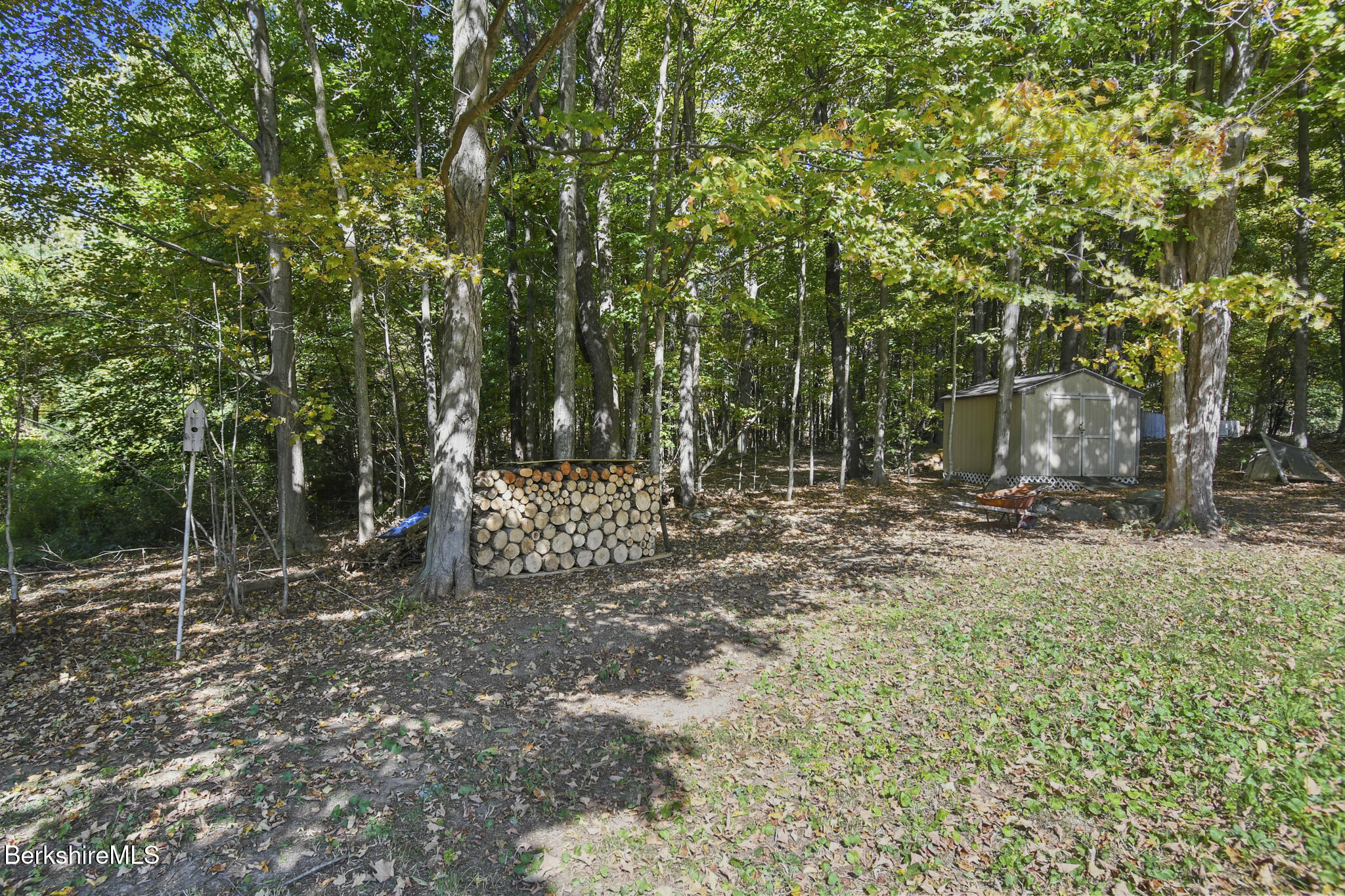 29 Murphy Place Pittsfield, MA 01201 - Photo 21 of 25 Back yard