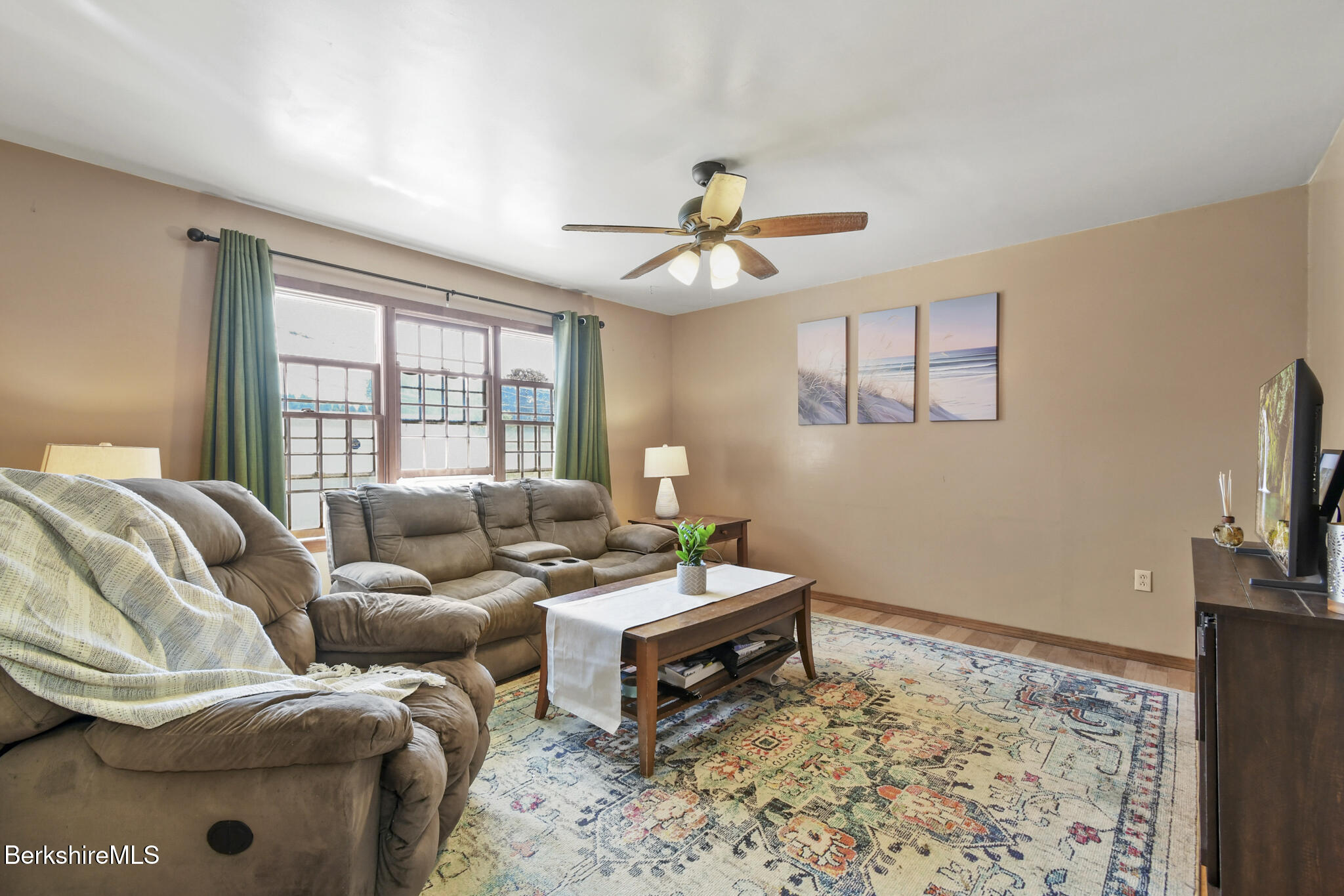 29 Murphy Place Pittsfield, MA 01201 - Photo 8 of 25 Livingroom