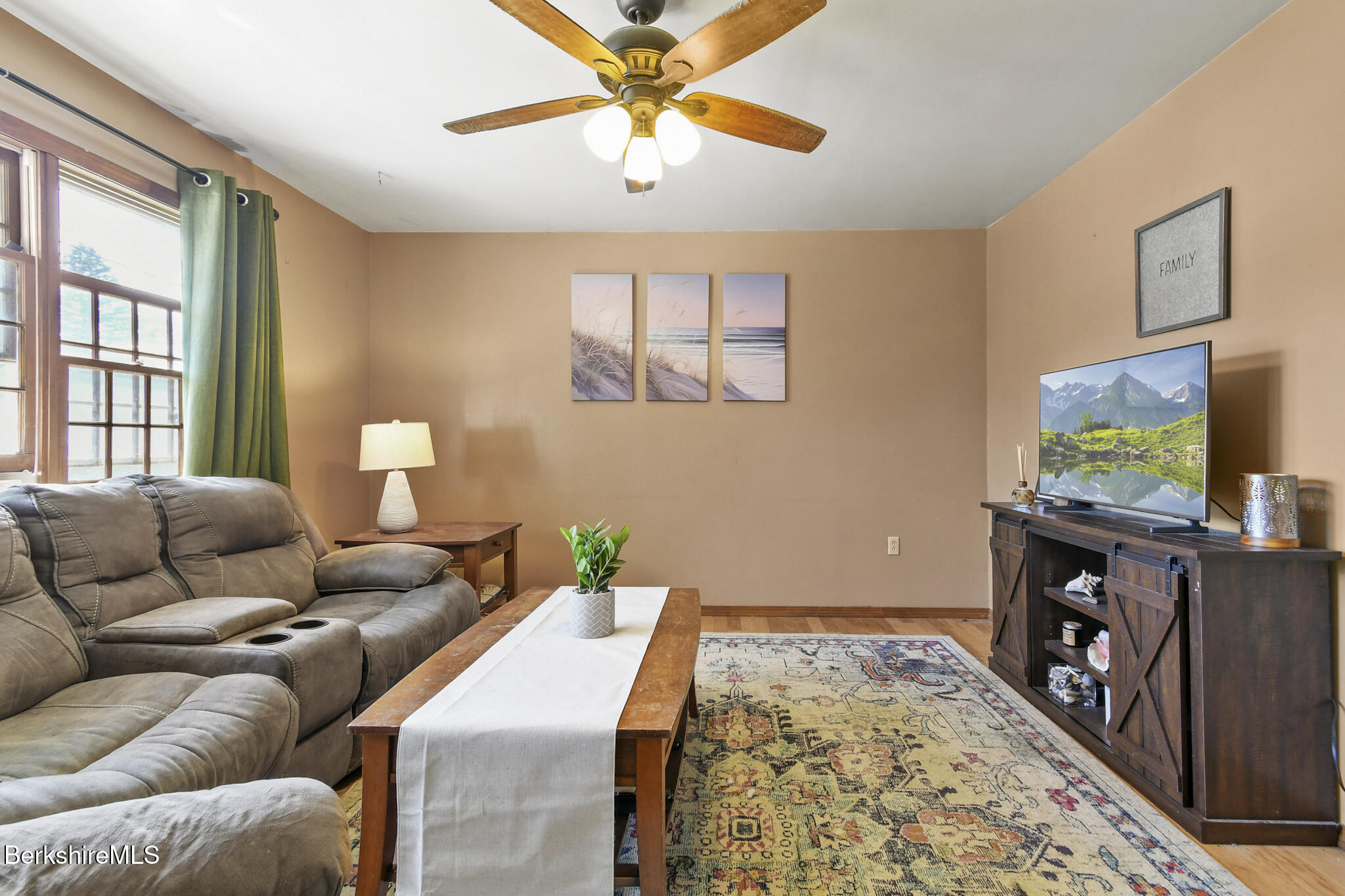 29 Murphy Place Pittsfield, MA 01201 - Photo 10 of 25 Livingroom