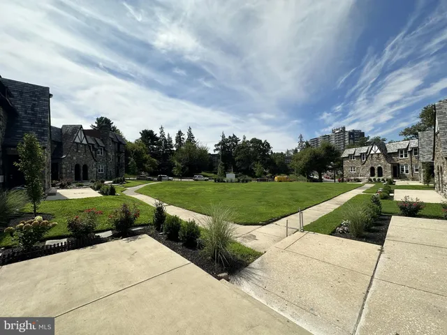 a view of a garden with plants