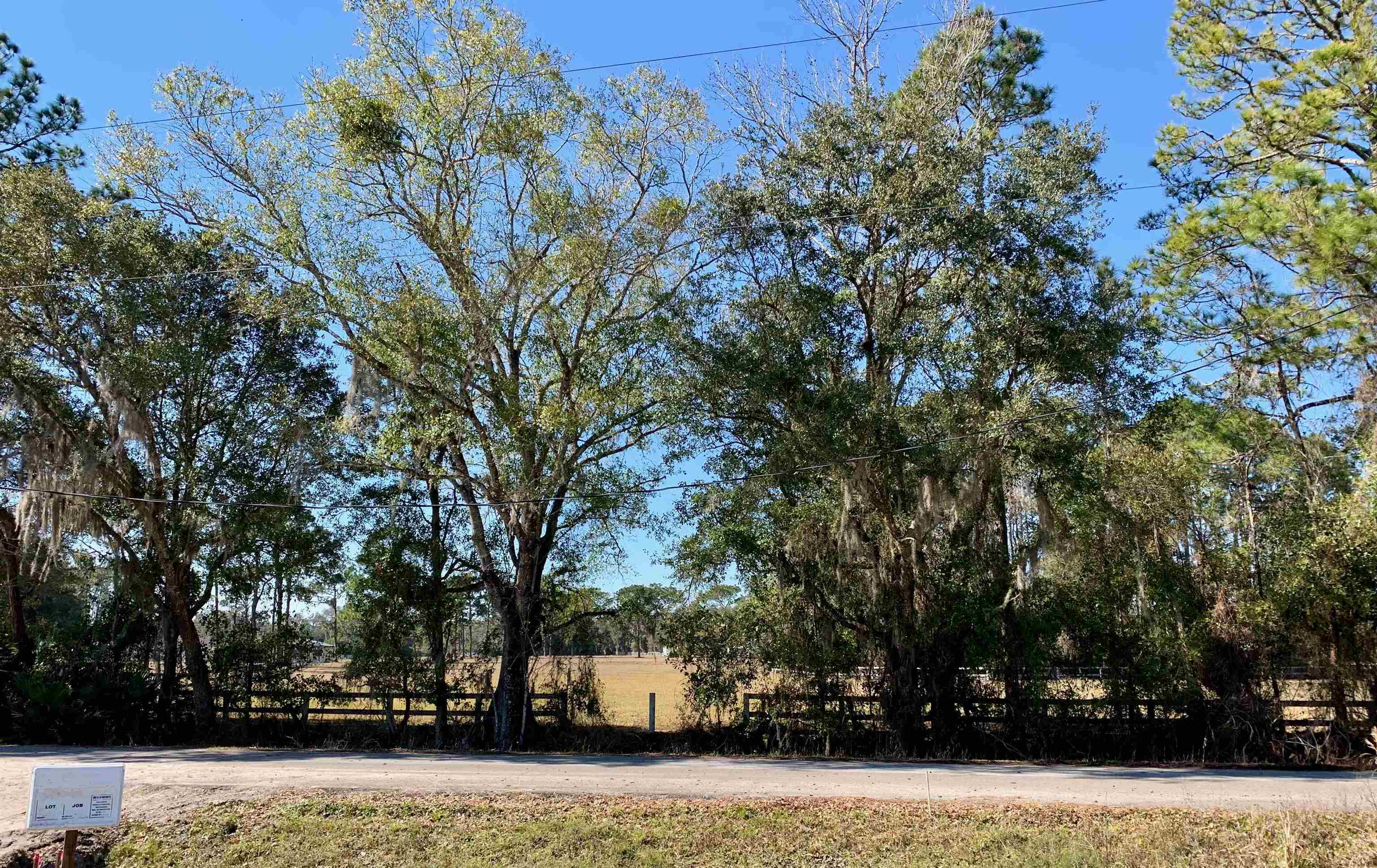 167 Maple Tree Lane Elkton, FL 32033 - Photo 2 of 22 Gallery Image 2