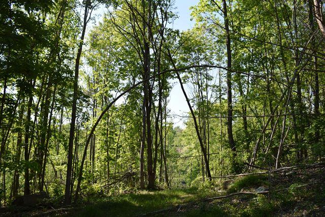 5 Raven Hill Road Tazewell, TN 37879 - Photo 1 of 22 DSC_0945-001