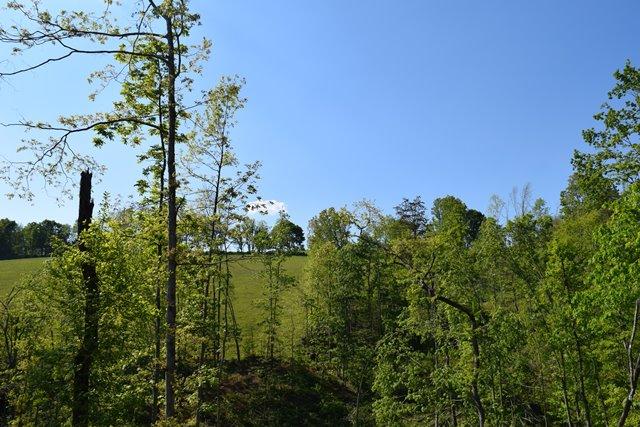 5 Raven Hill Road Tazewell, TN 37879 - Photo 2 of 22 DSC_0946-001